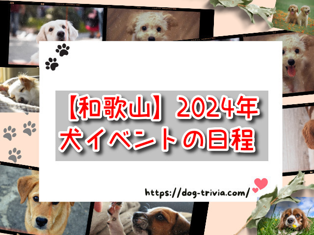 犬イベント　和歌山県